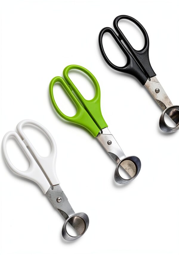 Quail Egg Cutter Scissors 12 pcs Steel XINMEIWEN Black/White/Grass-1